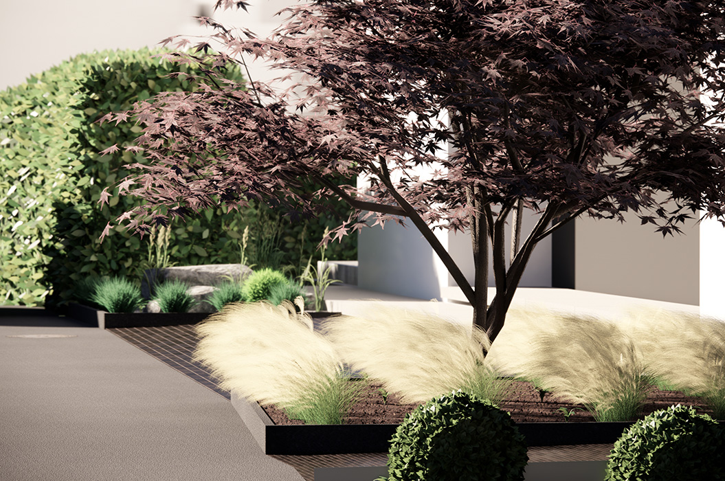 Moderner Garten mit rotem Ahorn, weißen Gräsern und grünen Büschen