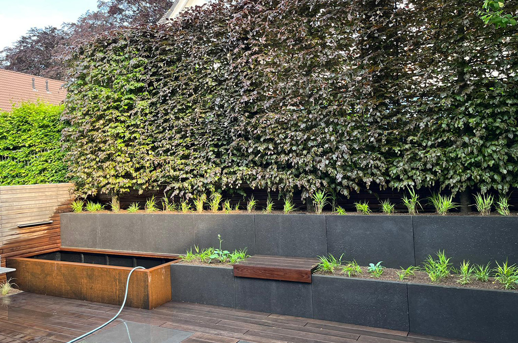 Moderner Garten mit dunkler Mauer, grünen Sträuchern und Holzbank